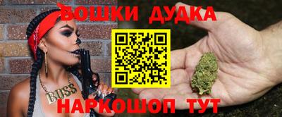 стаф Кингисепп
