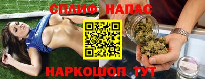 стаф Кингисепп