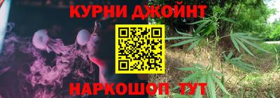 стаф Кингисепп