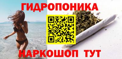 тгк Кимры