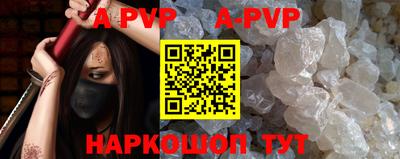 стаф Кингисепп