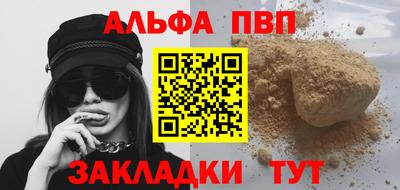 стаф Кингисепп