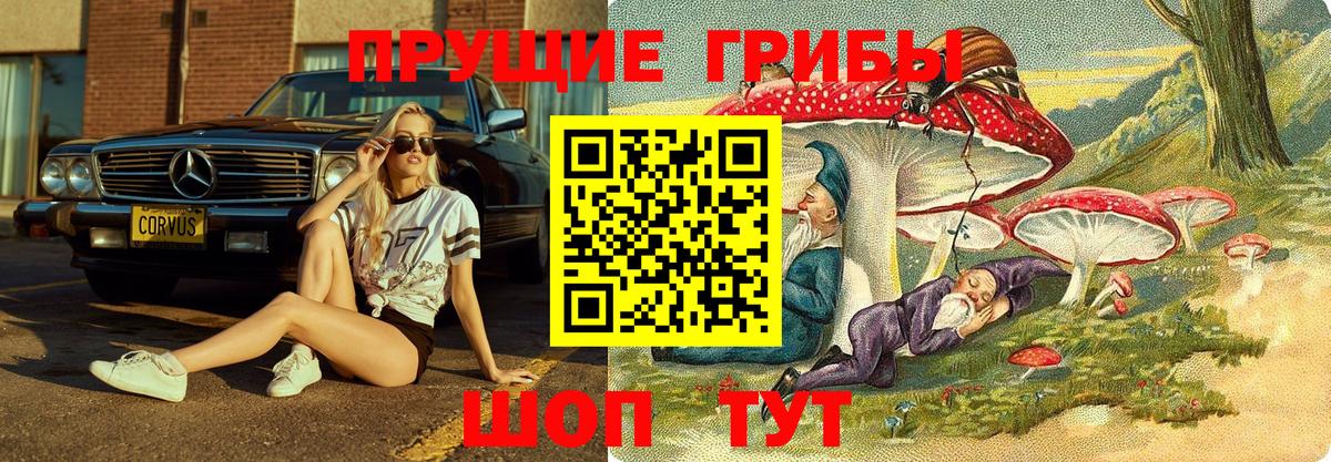 закладки  Вход с VPN  Котлас  Галлюциногенные грибы GOLDEN TEACHER  Галлюциногенные грибы MAGIC MUSHROOMS 