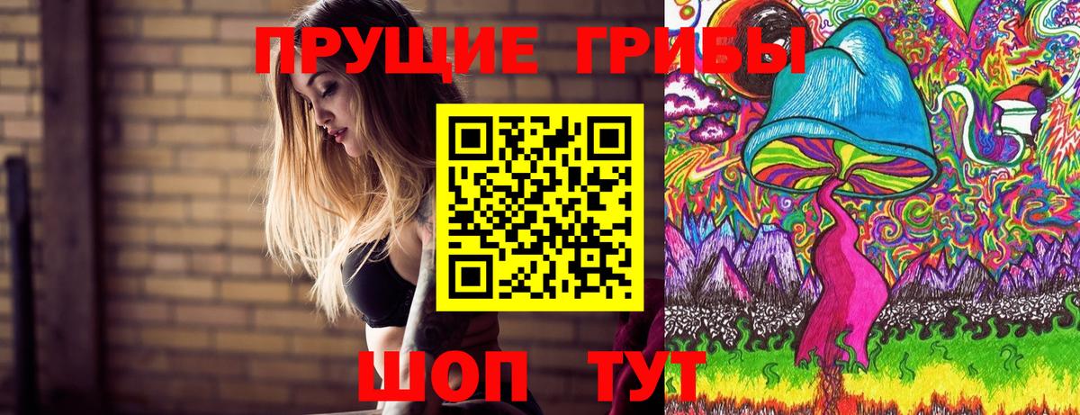 Галлюциногенные грибы прущие грибы Котлас
